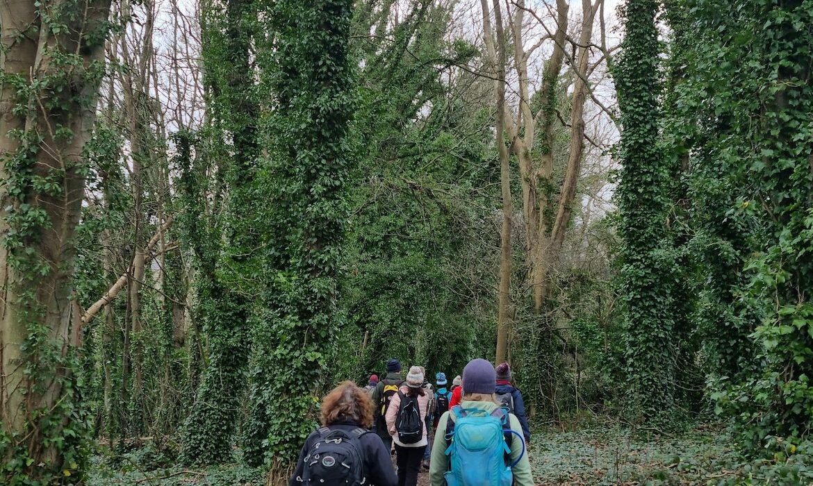 marcher en foret de compiegne