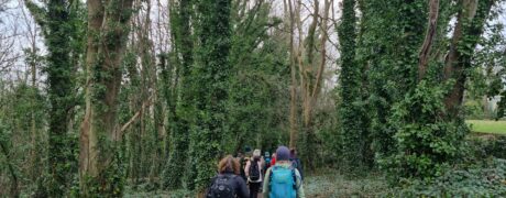 marcher en foret de compiegne