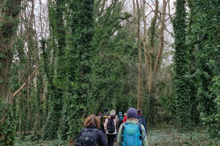 marcher en foret de compiegne